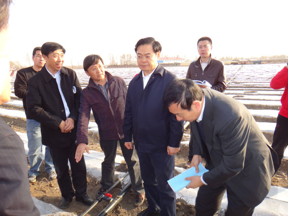 �±�GG��������ҵƽ̨