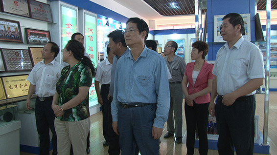 新宝GG—创立事业平台