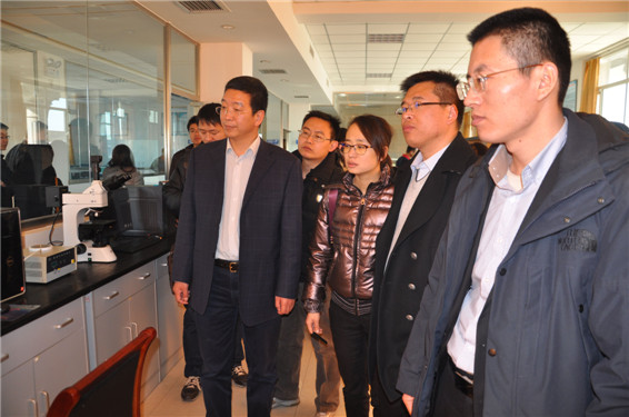 新宝GG—创立事业平台