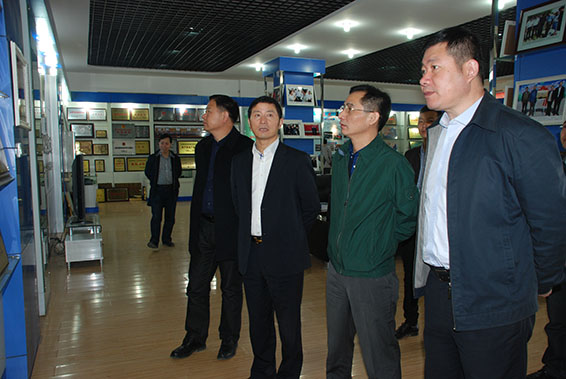 新宝GG—创立事业平台