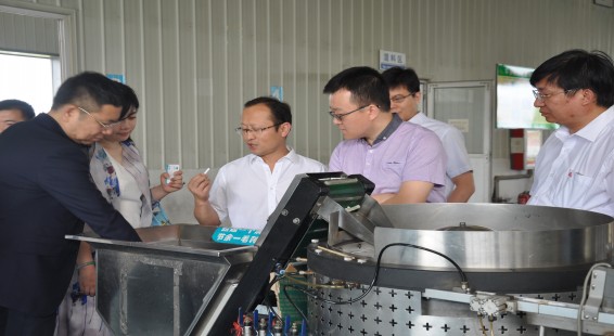 新宝GG—创立事业平台