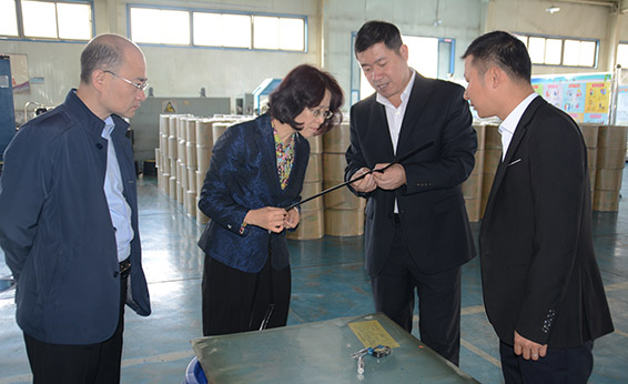 新宝GG—创立事业平台