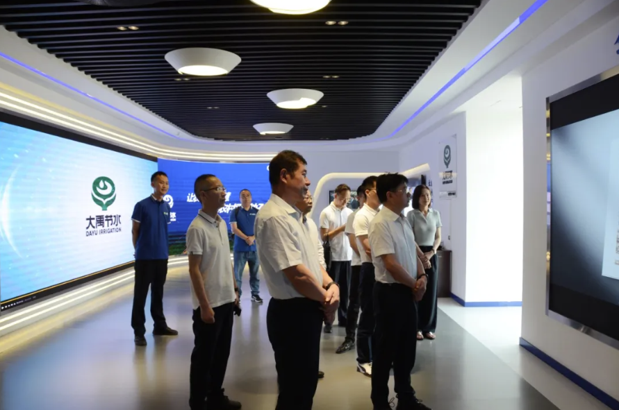 202506041749029502893248.png image.png