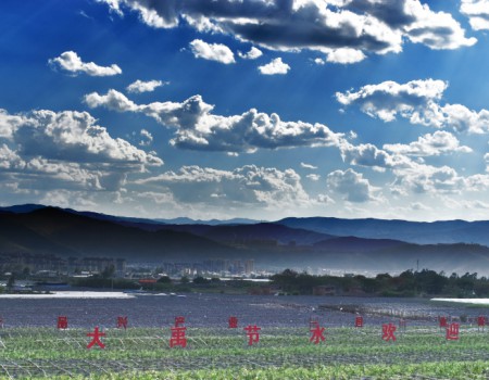 ��ũҵ���ǻۡ�����Ԫıģʽ��