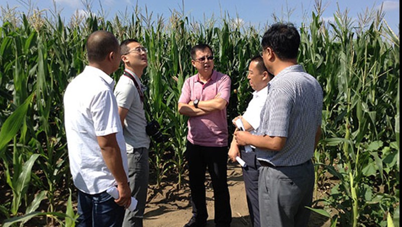 �±�gg��ˮ���ż������׵���ʽ�ι�����Ч������