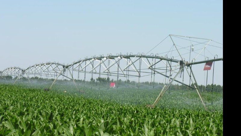 �����㶨ǧĶ����Ľ��ࣿ��������������