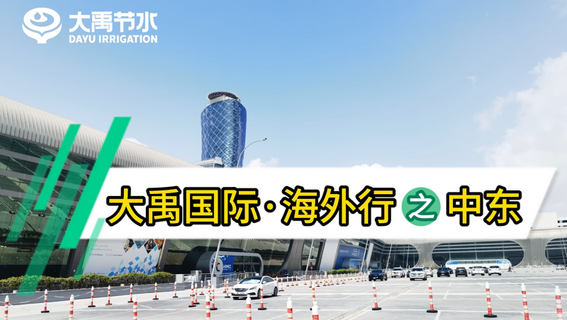 �±�gg���ʡ�������֮�ж�