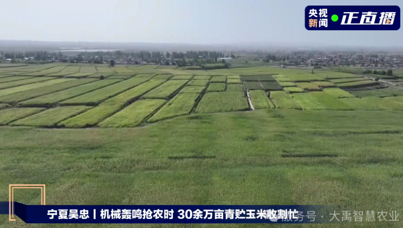 ��ý��۽����±�gg��ˮ���ǻ�ũҵ���գ���������������Ϊ 30 ��Ķ�������׷��� ����������