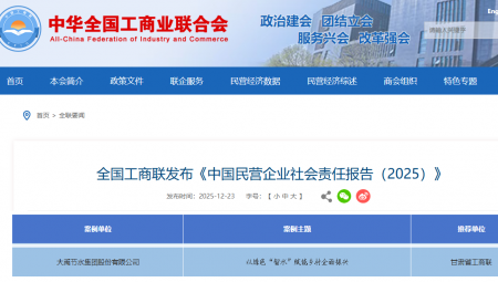 ������ѡ���й���Ӫ��ҵ������α��棨2025�������참��